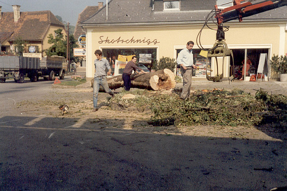 Chronik Skotschnigg Baum