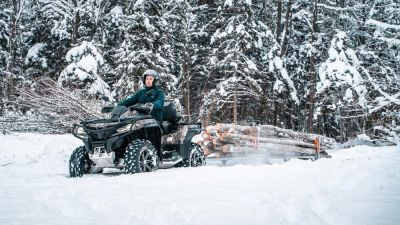 Holzschlitten Holzanhänger auf Ski